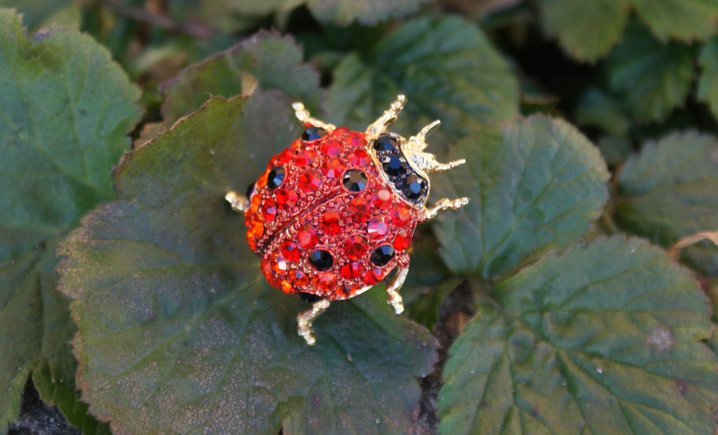 Ladybird Ring Ladybird Ring