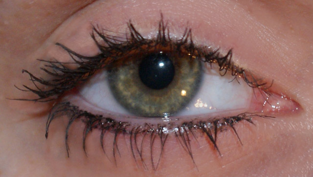 Rimmel Lash Accelerator Mascara Review After Picture