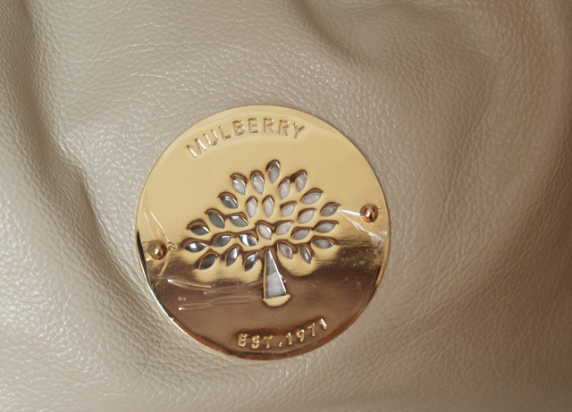 Mulberry Pear Sorbet Daria Hobo Bag Handbag