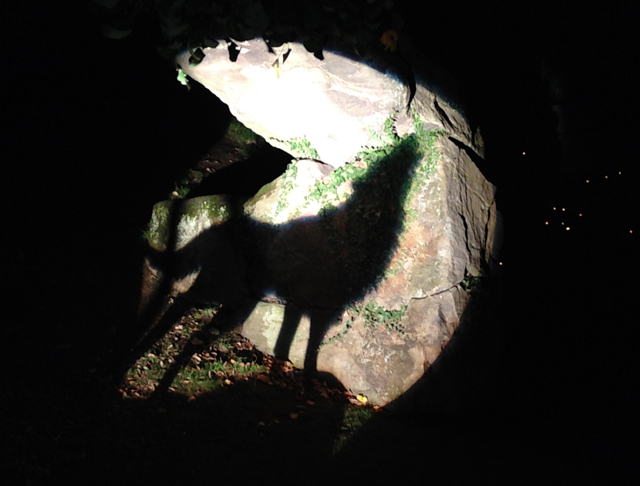 Chatsworth house luminaire Night gardens