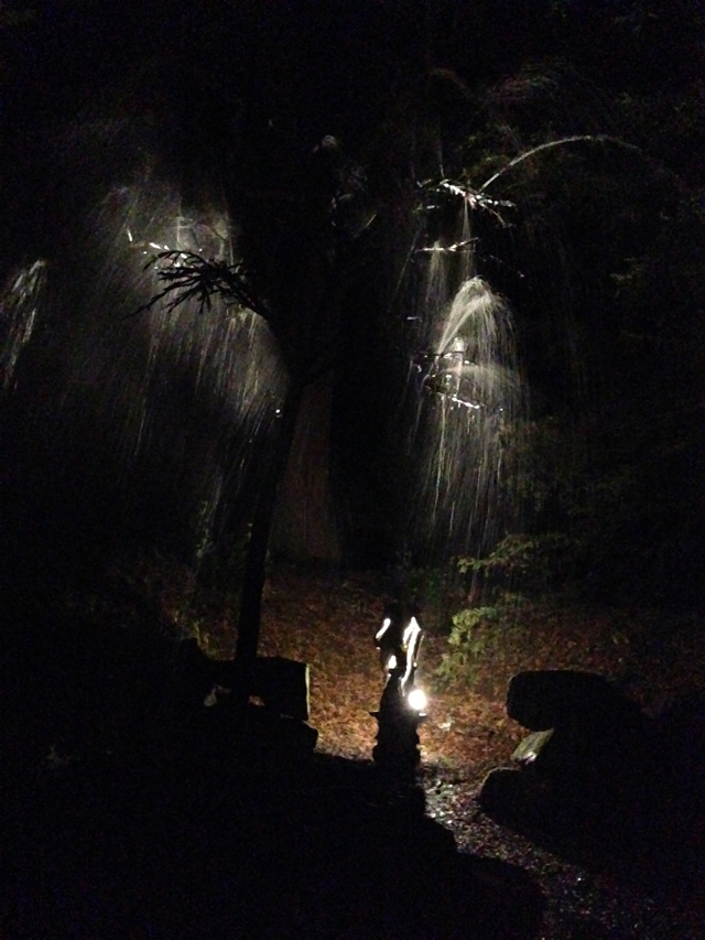 blog5
