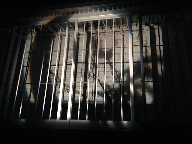 blog6
